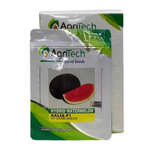 Hybrid Watermelon Kalia 50g Seeds F1 Oblong Agritech Green Gold Pvt Ltd