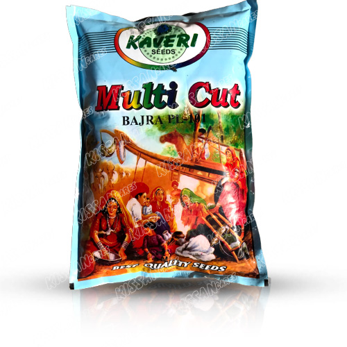 Bajra Multicut 2kg Desi Bajra Millet High Quality Seed