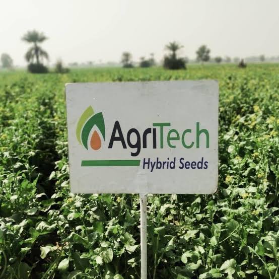AgriTech Seeds