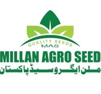 Millan Agro Seed