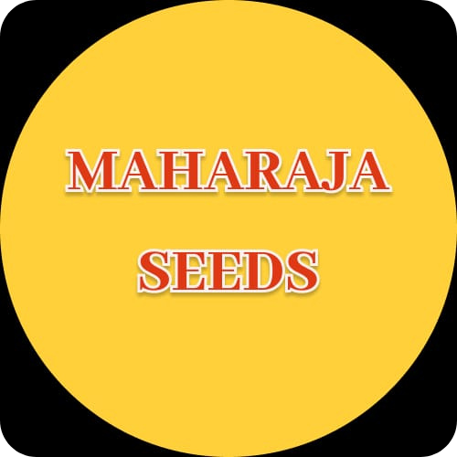 Maharaja Seeds