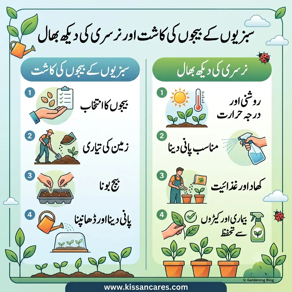 Vegetable Seeds Sowing & Nursery Management Guide