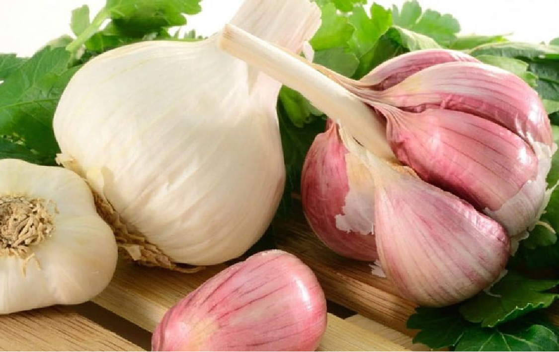 NARC Garlic G1/ لہسن نارک جی 1