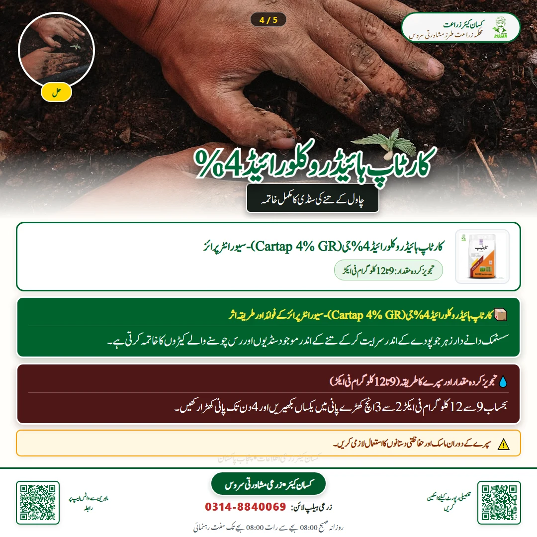 Farming Advisory: Jaffer Technology News - Pest Control & Spray Schedule