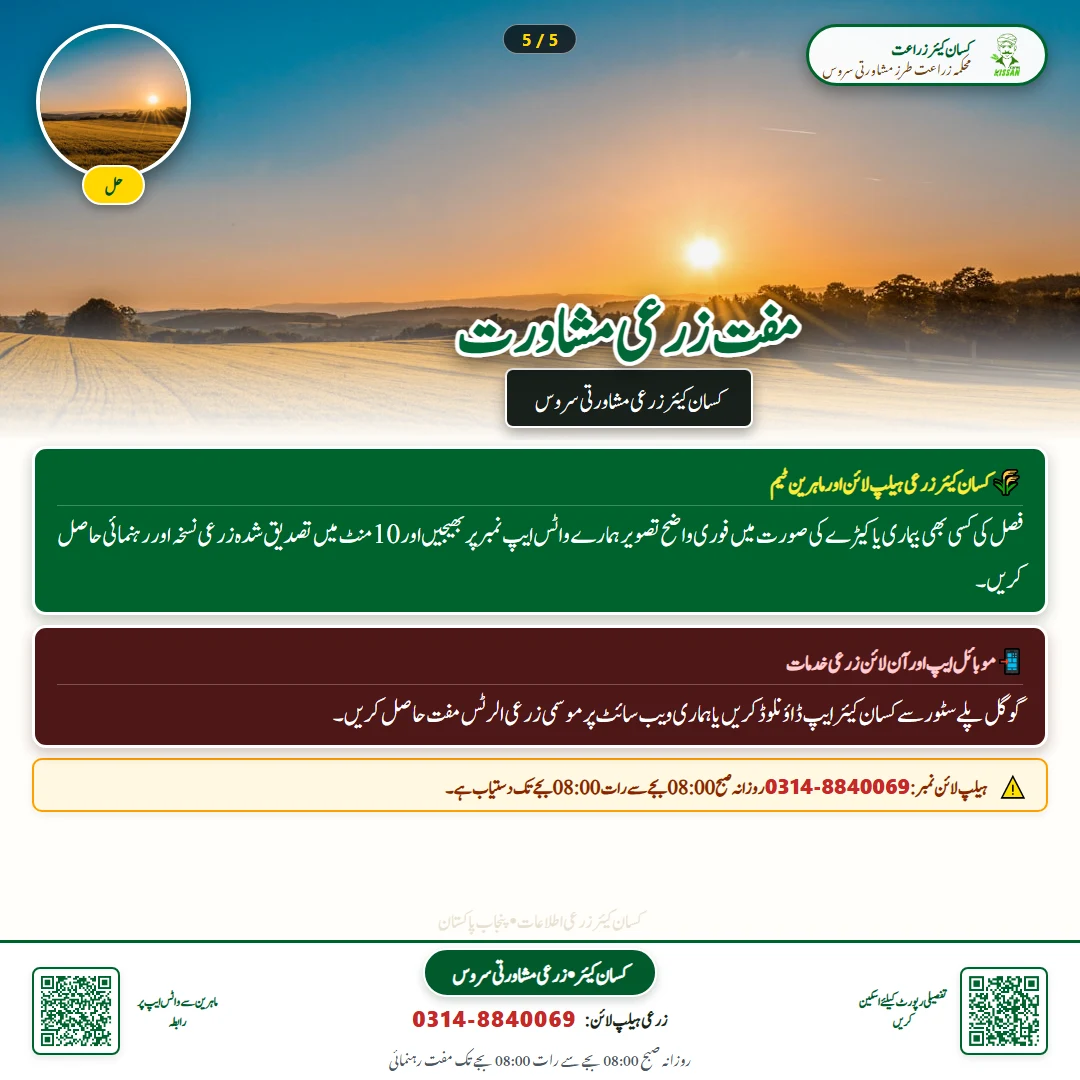 Farming Advisory: Jaffer Technology News - Govt Recommendations & Helpline