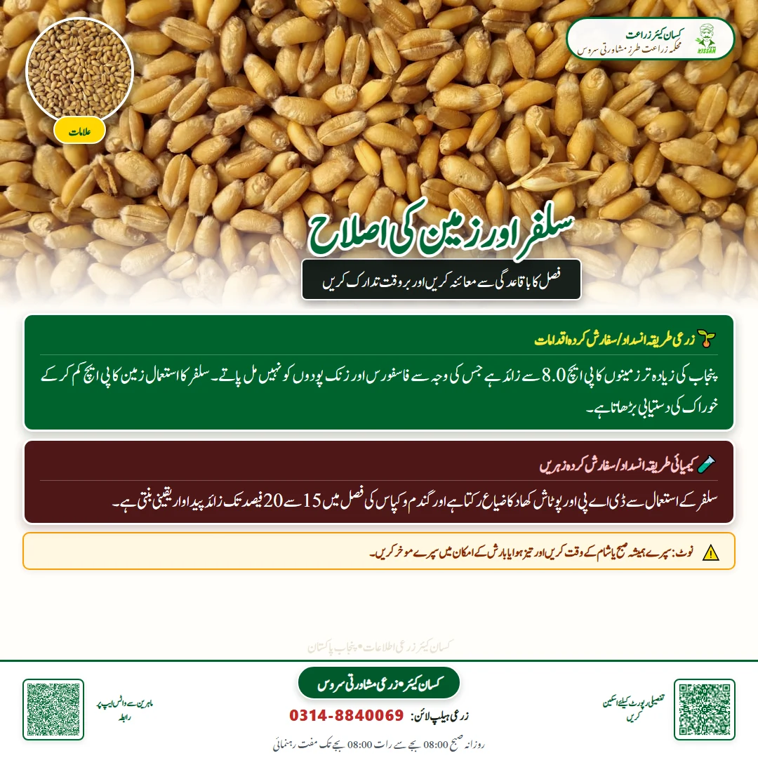 Farming Advisory: Sulphur Application and Soil pH Management