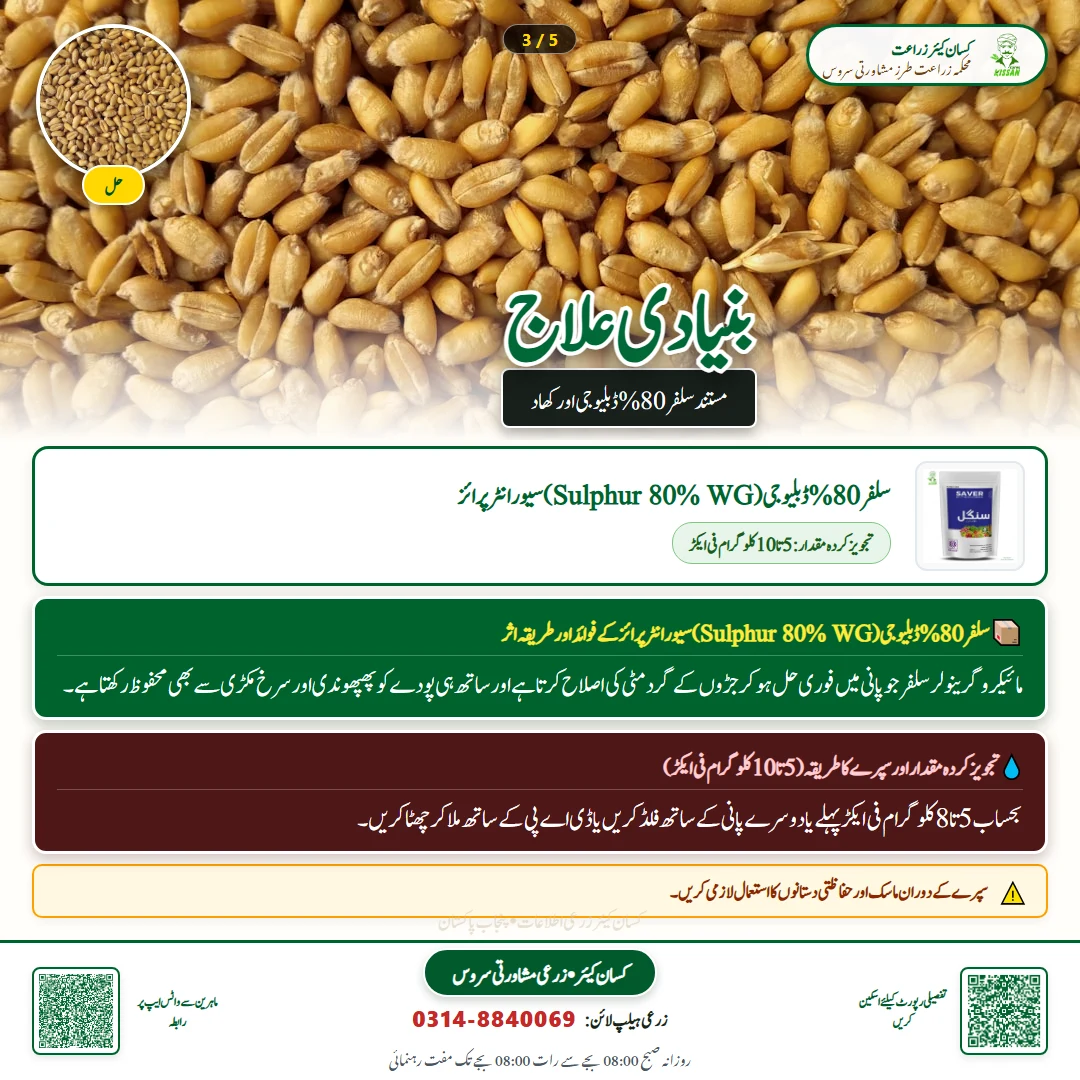 Farming Advisory: Sulphur Application and Soil pH Management - Fertilizer & Soil Nutrition