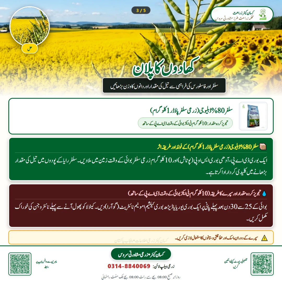 Farming Advisory: Early Sowing of Canola and Raya for Maximum Oil Yield / کینولا اور رایا کی اگیتی کاشت - Fertilizer & Soil Nutrition