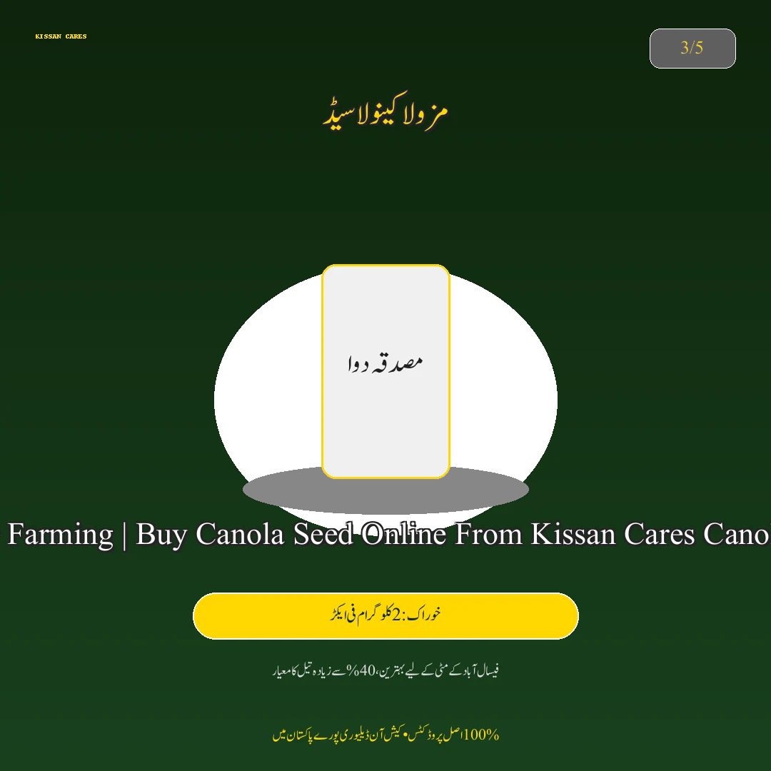 Farming Advisory: کینولا اور رایا کی اگیتی کاشت: ستمبر کے آخری عشرے میں زیادہ تیل دینے والی اقسام - Fertilizer & Soil Nutrition