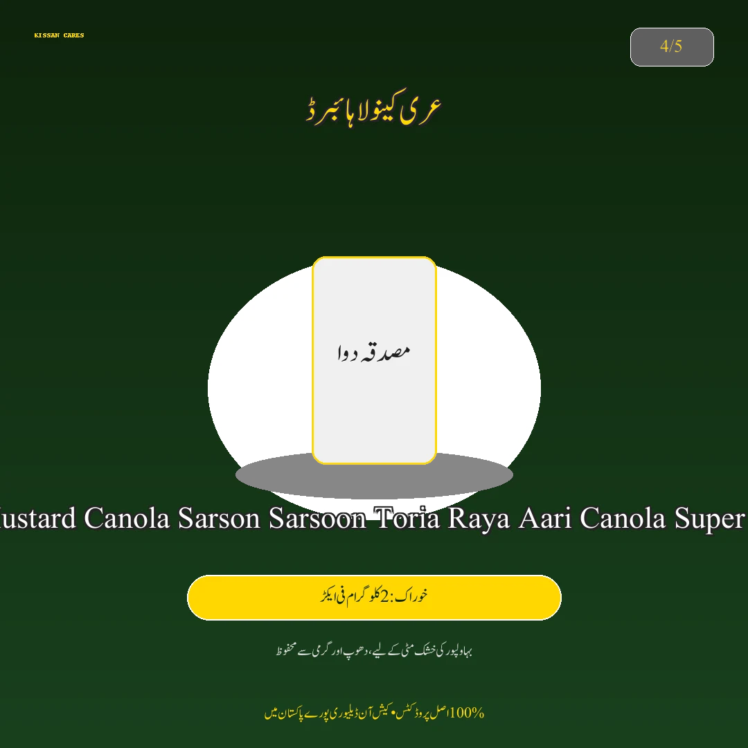 Farming Advisory: کینولا اور رایا کی اگیتی کاشت: ستمبر کے آخری عشرے میں زیادہ تیل دینے والی اقسام - Pest Control & Spray Schedule