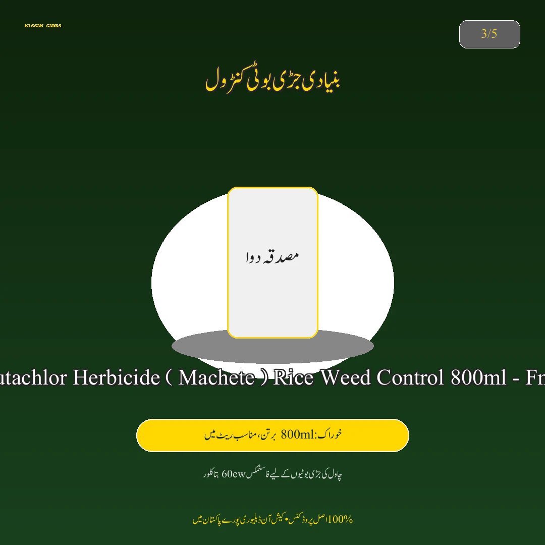 Pest & Disease Control: دھان کی فصل کی ہارویسٹنگ اور باسمتی چاول میں نمی کا درست تناسب (Moisture Control) (Focus on Wheat) - Fertilizer & Soil Nutrition