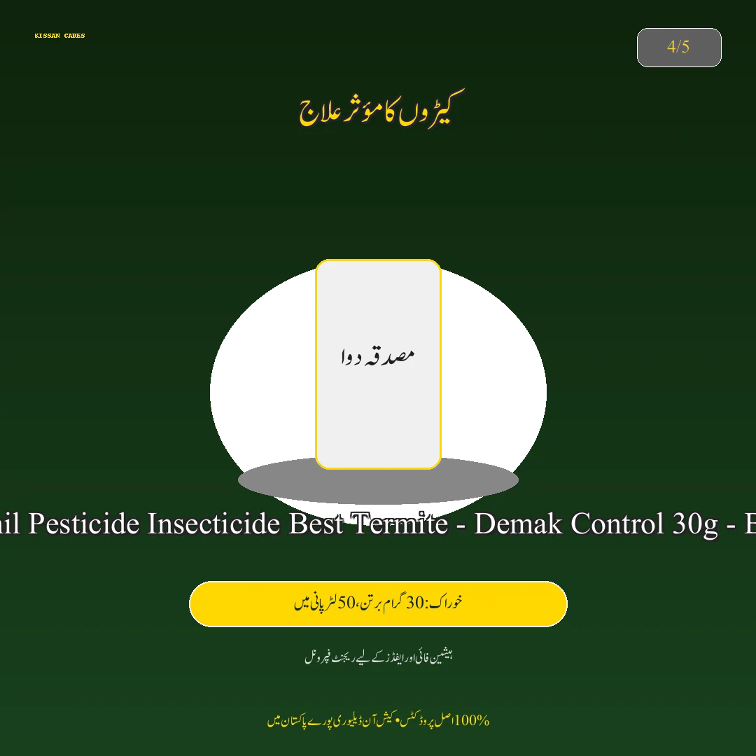 Pest & Disease Control: دھان کی فصل کی ہارویسٹنگ اور باسمتی چاول میں نمی کا درست تناسب (Moisture Control) (Focus on Wheat) - Pest Control & Spray Schedule