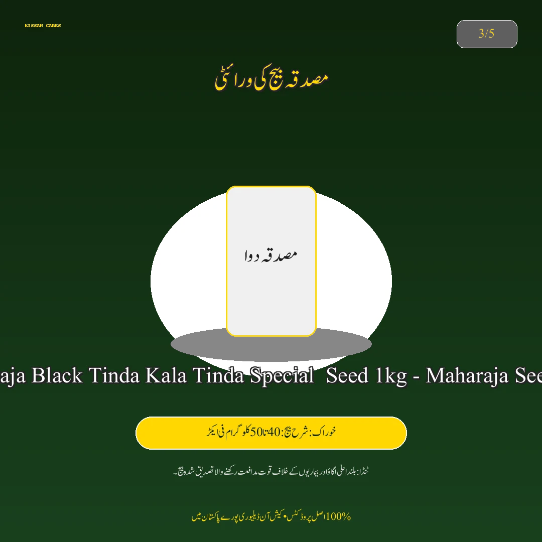 Farming Advisory: گندم کی زیادہ پیداوار دینے والی تصدیق شدہ اقسام: اکبر 19، غازی 19 اور دلکش 20 کا موازنہ - Fertilizer & Soil Nutrition