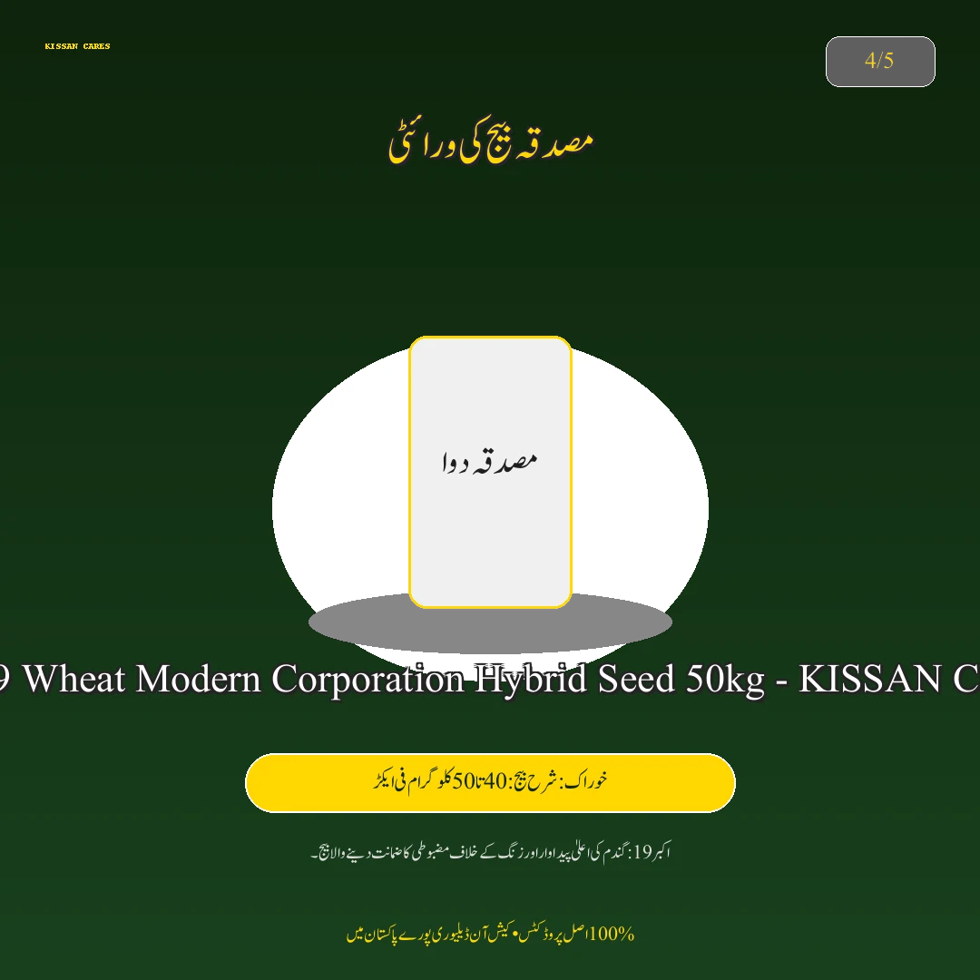 Farming Advisory: گندم کی زیادہ پیداوار دینے والی تصدیق شدہ اقسام: اکبر 19، غازی 19 اور دلکش 20 کا موازنہ - Pest Control & Spray Schedule