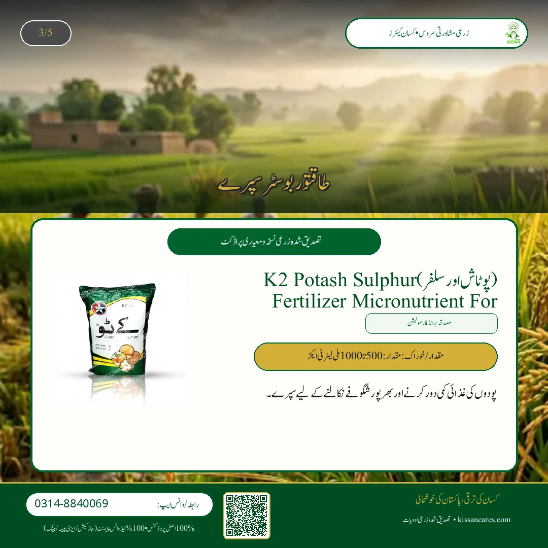 دھان کی فصل کی ہارویسٹنگ اور باسمتی چاول میں نمی کا درست تناسب (Moisture Control) - Fertilizer & Soil Nutrition