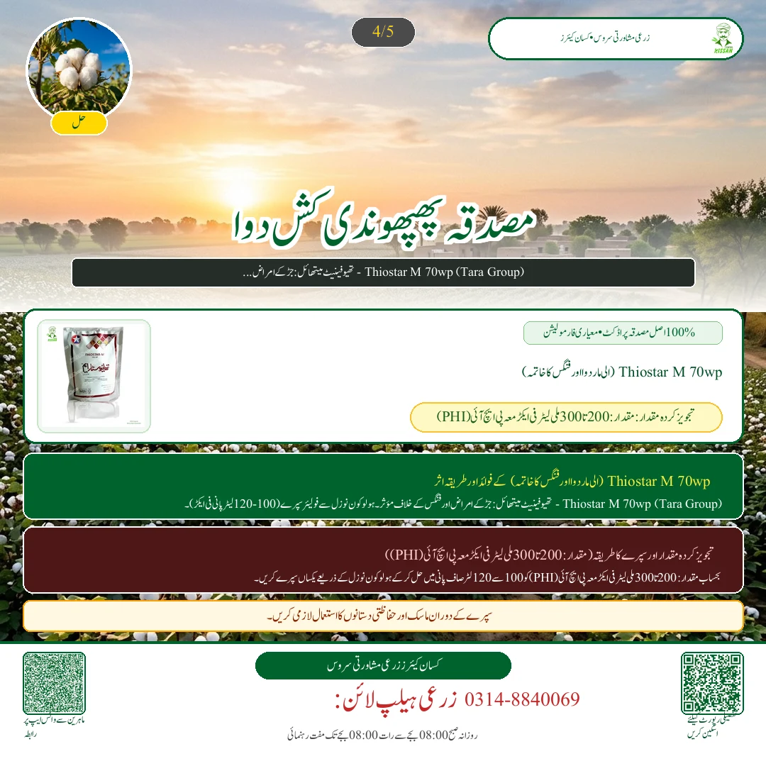 Cotton: کپاس کی آخری چنائی کے بعد چھڑیاں تلف کرنا: گلابی سنڈی کا سرمائی خاتمہ اور گندم کی تیاری - Pest Control & Spray Schedule