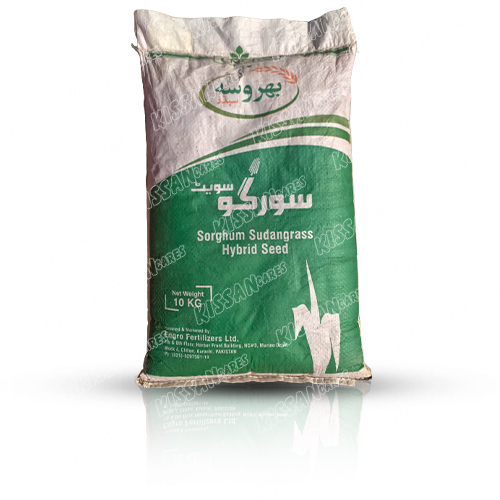 Sorghum Sudangrass Hybrid Seed 10kg Engro Jawar جوار 