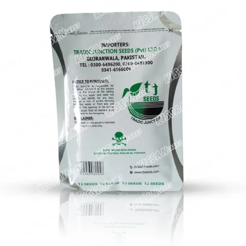 Sponge Gourd White Queen F1 Hybrid Vegetable Seed 50gram Tradic Junction Thumbnail 3