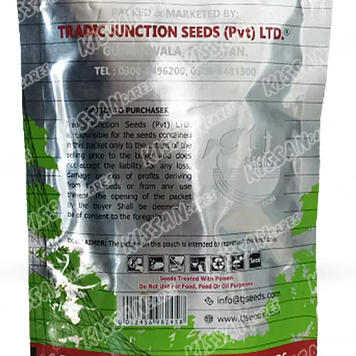 Anmol Kaddu 100 Gram Vegetable Seeds Tradic Junction Seed Limited Thumbnail 4