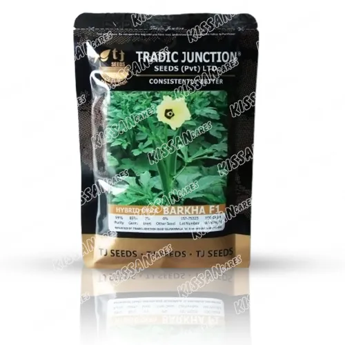 Barkha F1 Okra 100 Gram Hybrid Vegetable Seeds Tradic Junction Seed Limited - Hybrid Seeds