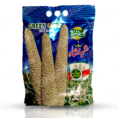 Hybrid Seed Pearl Millet Shahansha 2.5kg F1 Pakkawan Bajra Greengold Agri Seeds