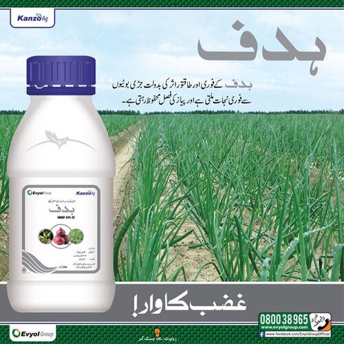2nd Hadaf 24ec 200ml Oxyflurofen Evyol Group Kanzo Onion / Garlic Weed Control Weedicide / Herbicide Lehsan