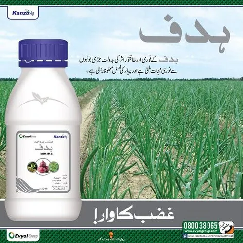 Hadaf 24ec 200ml Oxyflurofen Evyol Group Kanzo Onion / Garlic Weed Control Weedicide / Herbicide Lehsan Thumbnail 2