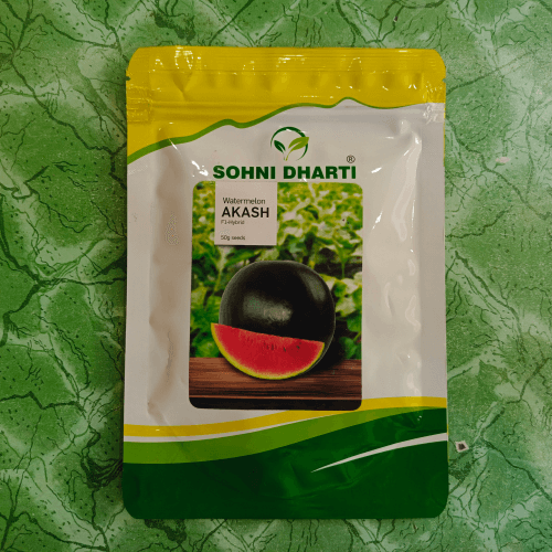 Watermelon Akash F1 Hybrid 50g Pack Seed (tarbooz)