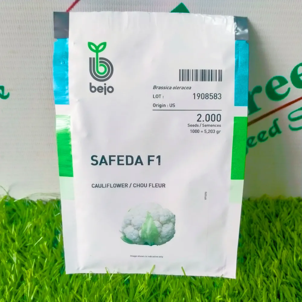 Safeda F1 Cauliflower / Chou Fleur Seed Bejo Company Gobi Seed Thumbnail 3