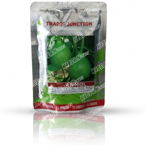 Anmol Kaddu 100 Gram Vegetable Seeds Tradic Junction Seed Limited 