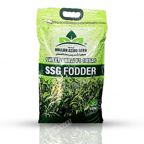 Sweet Chow F1(usa) Ssg Fooder 10kg Seed Millan Agro Seed