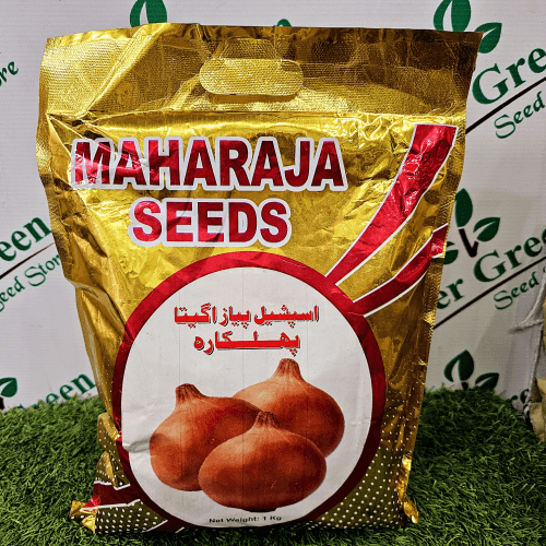 Onion Seed Phulkara 1kg Payaz Beej Green Power Seeds Maharaja Seeds