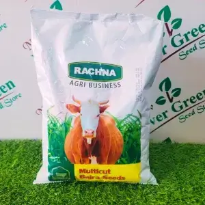 Rachna Multicut Bajra Millet Seed 2kg – High Yield Fodder Bajra Seeds For Farming In Pakistan