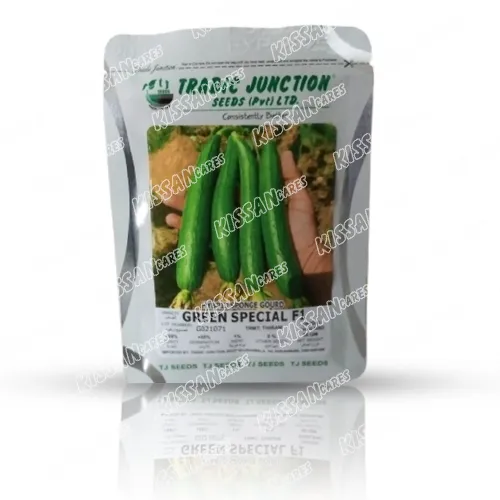 Sponge Gourd Green Special F1 50 Gram Hybrid Vegetable Seed Tradic Junction Seeds Limited - Hybrid Seeds