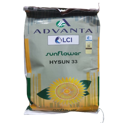 Hysun 33 Advanta Ici Pakistan 2kg Sunflower Hybrid Seed Pacific Seeds F1 Suraj Mukhi Sun Flower سورج مکھی کے بیج Ici Lci Lucky Core Industries