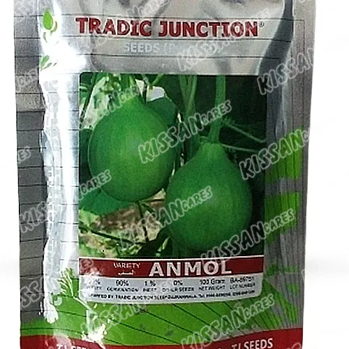 2nd Anmol Kaddu 100 Gram Vegetable Seeds Tradic Junction Seed Limited