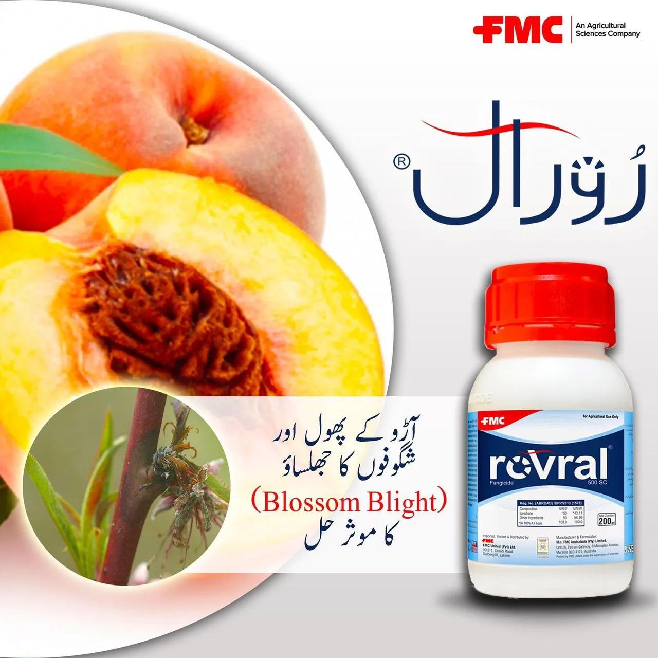 Rovral 500sc Iprodione 200ml Fmc Fungicide Thumbnail 3