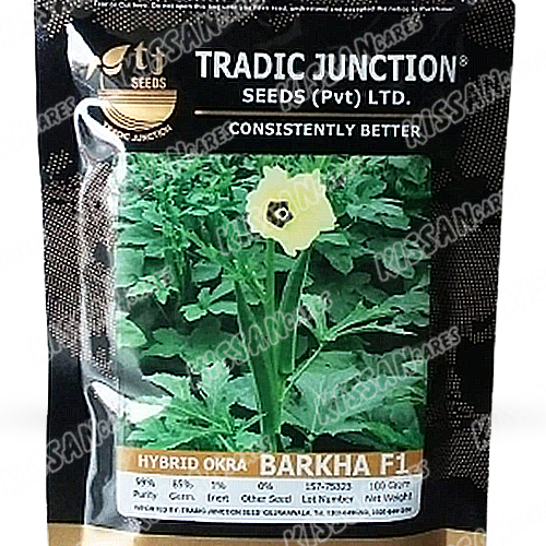 2nd Barkha F1 Okra 100 Gram Hybrid Vegetable Seeds Tradic Junction Seed Limited 