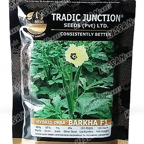 Barkha F1 Okra 100 Gram Hybrid Vegetable Seeds Tradic Junction Seed Limited Thumbnail 2