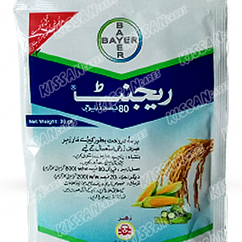2nd Regent 30gram Fipronil Insecticide Bayer Pakistan