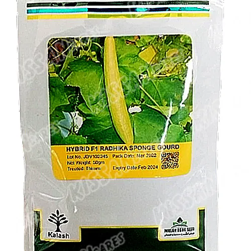 2nd Hybrid F1 Radhika Sponge Gourd Tori 50 Gram Kalash Seeds Limited