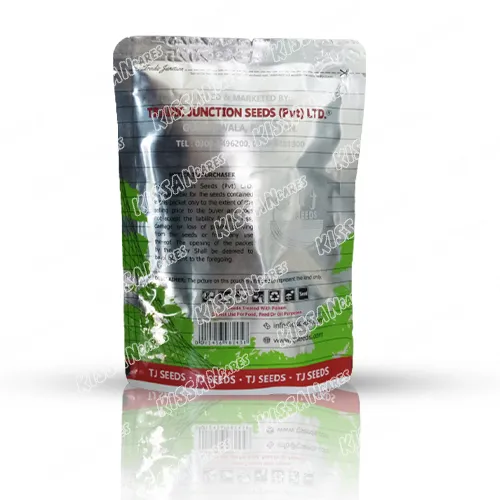 Anmol Kaddu 100 Gram Vegetable Seeds Tradic Junction Seed Limited Thumbnail 3