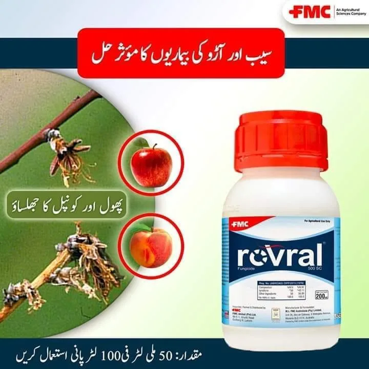 Iprodione 500sc 500SC Fungicide 200ml - FMC Pakistan - Price in Pakistan Today (اللی مار دوا) - Pesticides (Kissan Cares) Price in Pakistan Online | Kissan Cares - Back View