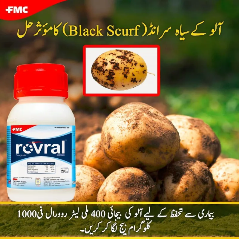 Iprodione 500sc 500SC Fungicide 200ml - FMC Pakistan - Price in Pakistan Today (اللی مار دوا) - Pesticides (Kissan Cares) Price in Pakistan Online | Kissan Cares