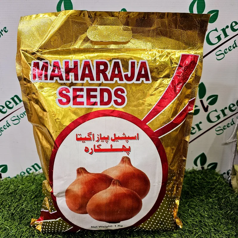 Onion Phulkara Payaz Beej Green Power Seeds Hybrid Seed 1kg - Maharaja Seeds - Price in Pakistan Today (پیاز) - Seeds (Hybrid seeds Pakistan) Price in Pakistan Online | Kissan Cares - Back View