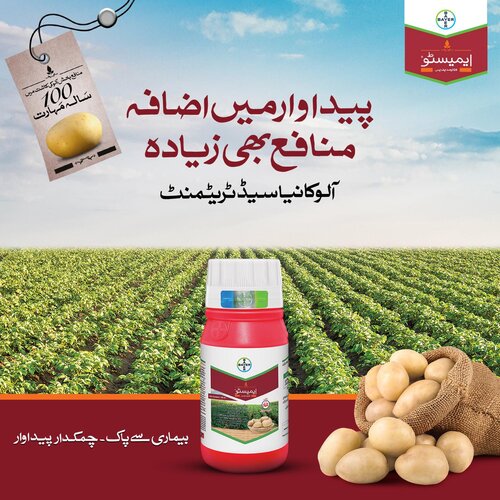 Penflufen 240fs Seed 160ml - BAYER - Price in Pakistan Today (بیج) - Pesticides (Hybrid seeds Pakistan) Price in Pakistan Online | Kissan Cares - Back View
