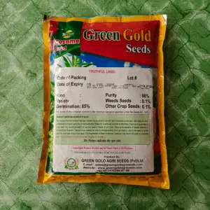 Niab Pearl Sesame Green Seeds White Till Pure Organic Gold Hybrid Seed 1kg - Greengold Agri Seeds - Price In Pakistan Today (تل) - Hybrid Seeds (<p>Hybrid seeds Pakistan) Price in Pakistan Online | Kissan Cares - Back View