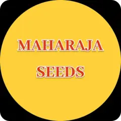 Maharaja Seeds