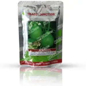 Anmol Kaddu Vegetable Seeds Limited Hybrid Seed 100 g - Tradic Junction - Price in Pakistan Today (کدو / لوکی) - Seeds (Hybrid seeds Pakistan) Price in Pakistan Online | Kissan Cares