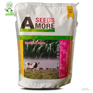 Biz Multicut Bajra Greengold Agri Seeds Hybrid Seed 2kg - Kissan Cares - Price In Pakistan Today (بیج) - Seeds (Hybrid seeds Pakistan) Price in Pakistan Online | Kissan Cares